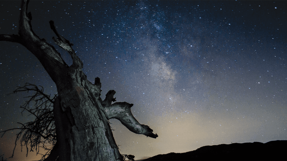 Stargazing Night at Mount Diablo